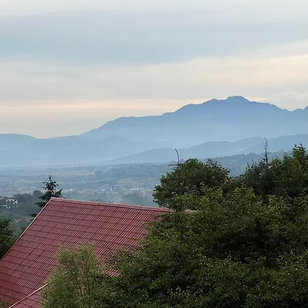 Casa de Férias Carpathian Log *