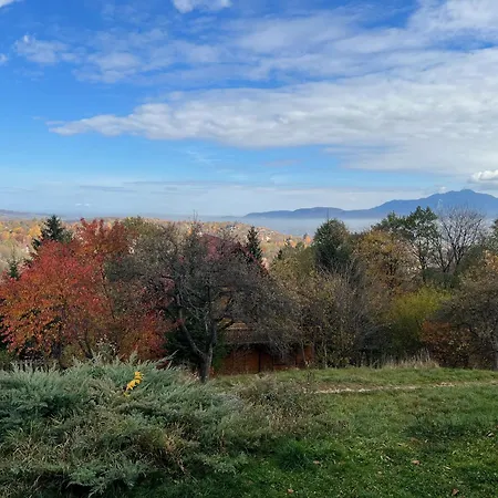 Holiday home Carpathian Log Bran (Brasov)