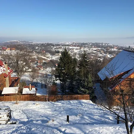 Carpathian Log Bran (Brasov)